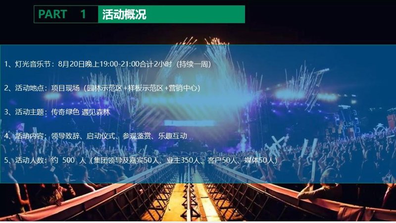 文化活动策划：点亮城市夜空的艺术